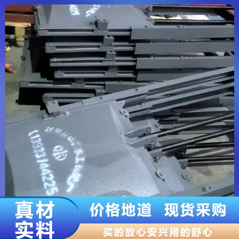 附壁式铸铁闸门生产厂家