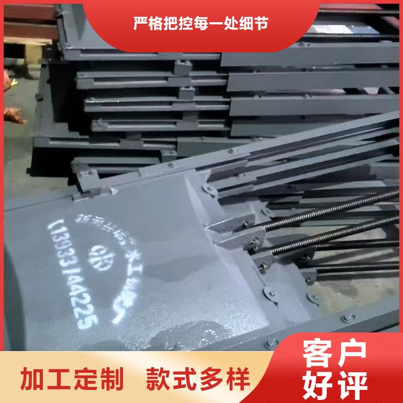 启闭机闸门铸铁法兰闸门[生产厂家价格]