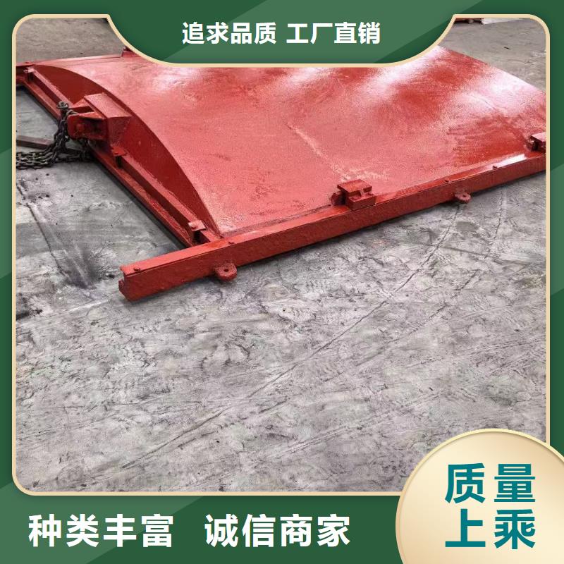 河道铸铁闸门-p型止水带闸门水封一站式