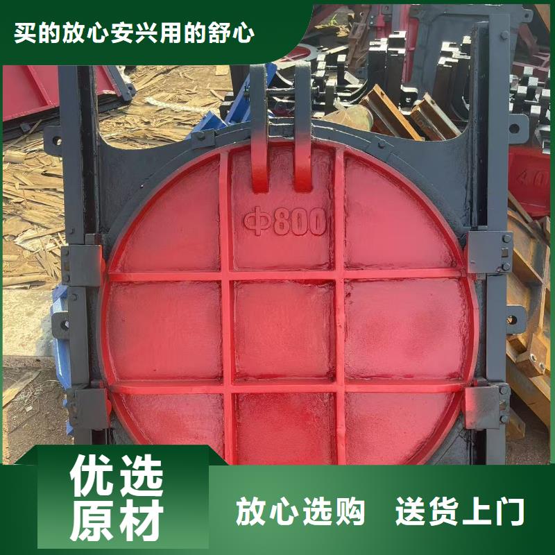 保亭县铸铁镶铜闸门-景观铸铁闸门环保型
