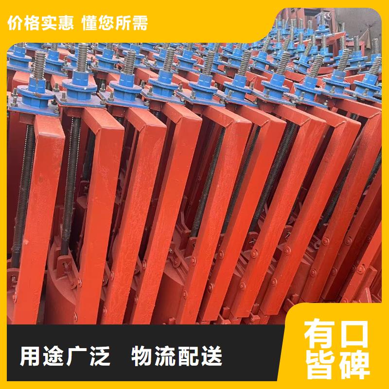 铸铁闸门-平板钢闸门值得信赖