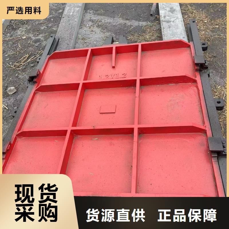 启闭机闸门-异形铸铁双向止水闸门技术领先