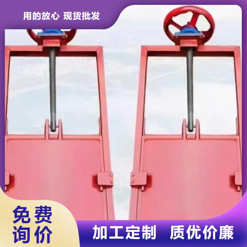 镶铜铸铁闸门_双向挡水铸铁闸门[价格厂家]