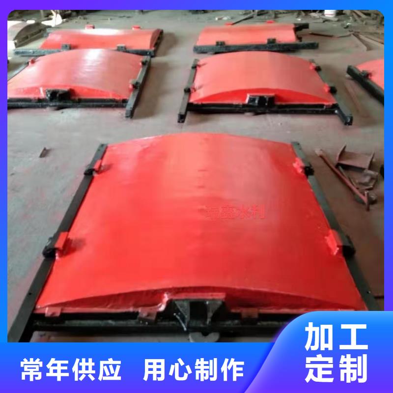 渠道闸门-p型止水带闸门水封环保型