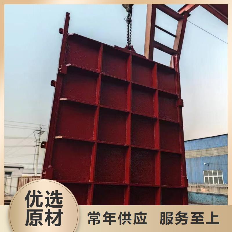 水库铸铁闸门一体闸门-供应商价格