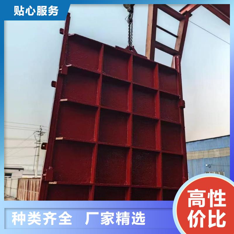 云东海街道一体铸铁闸门按需定制