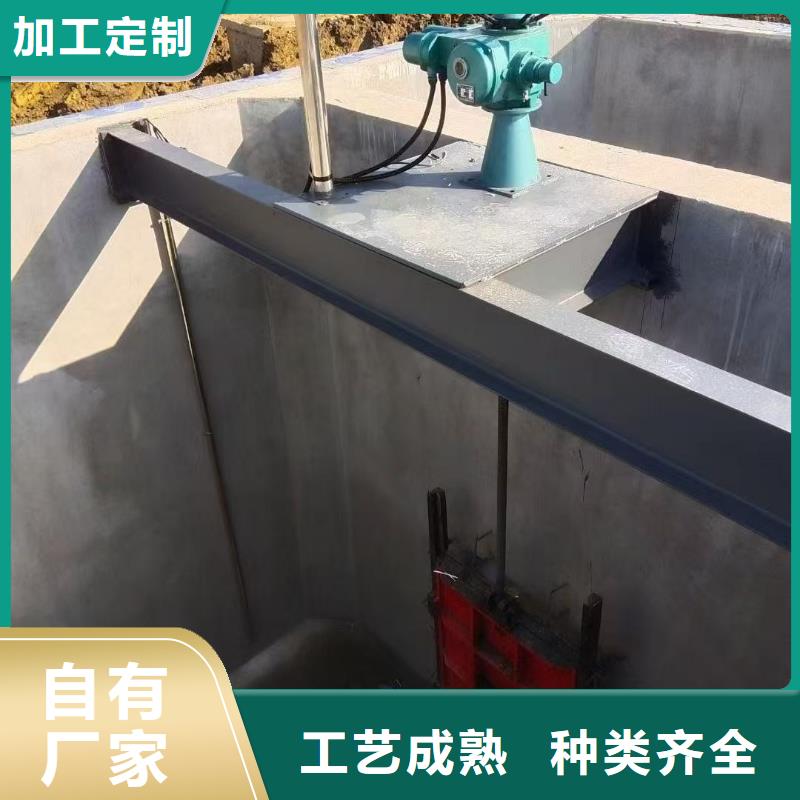 启闭机手电两用螺杆启闭机助力绿色水利建设