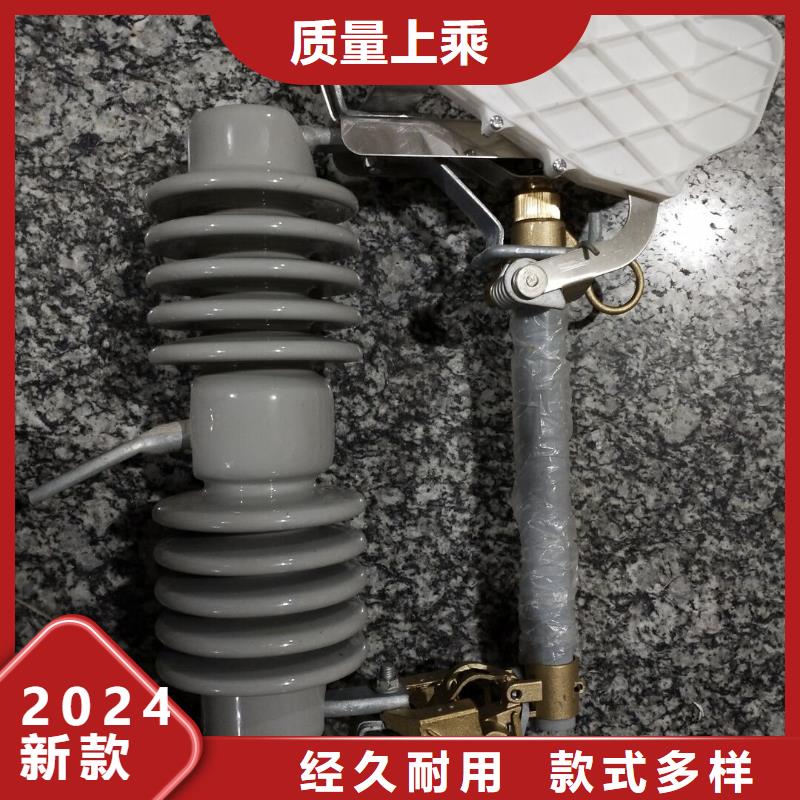 熔断器高压真空断路器厂家直销大量现货