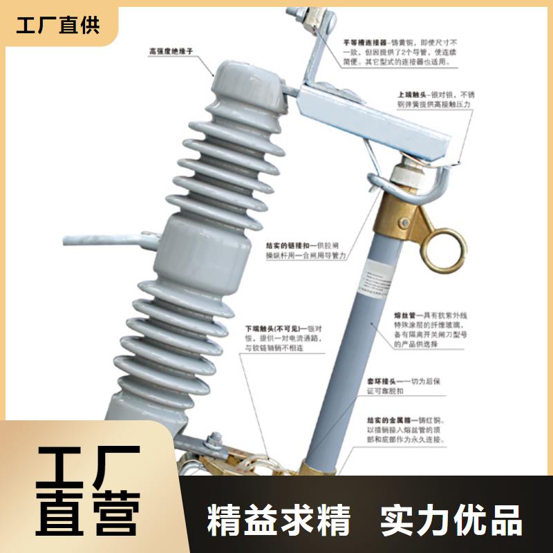 跌落式熔断器HRW12-12KV/200A