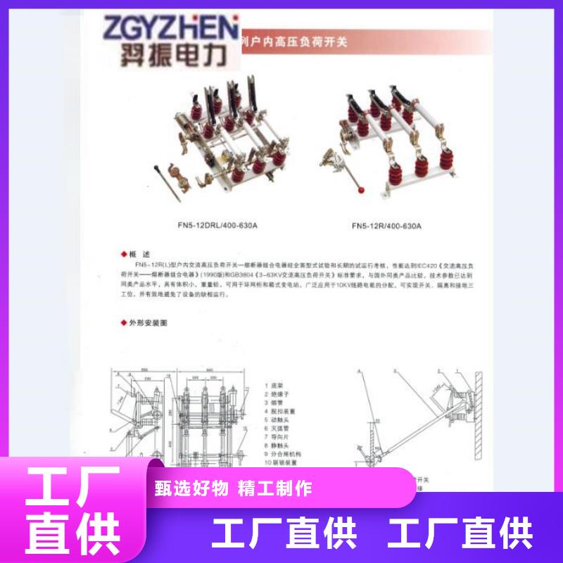 高压熔断器/RW11-12F/200