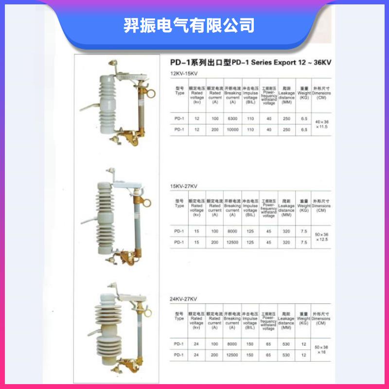 高压熔断器HRW12-10/200