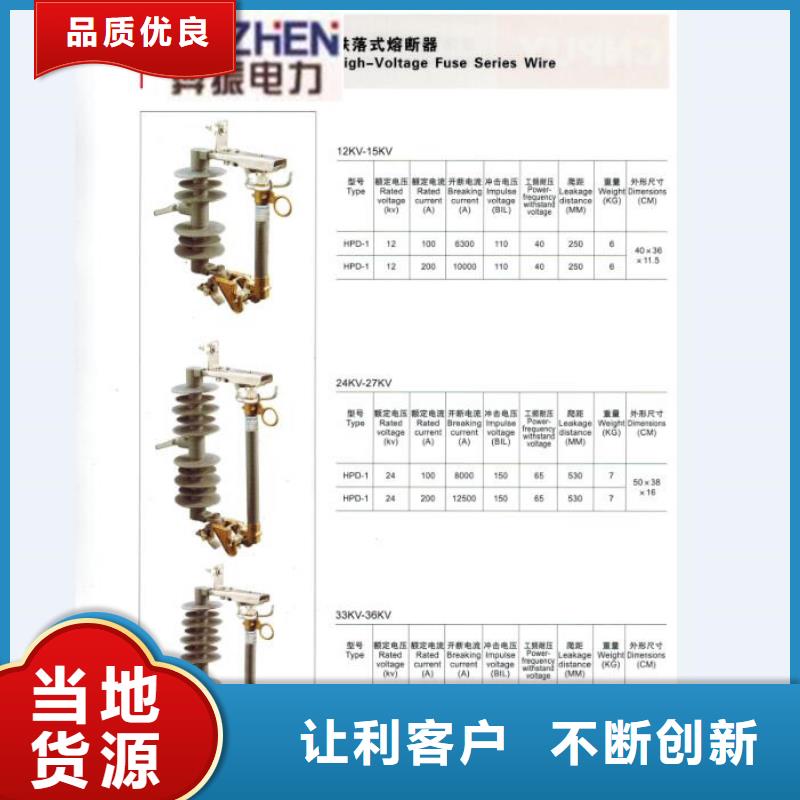 高压熔断器/RW11-12/100-6.3