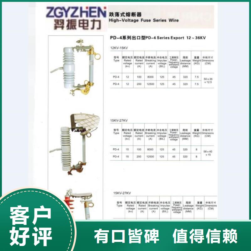 高压熔断器RW12-15/100A