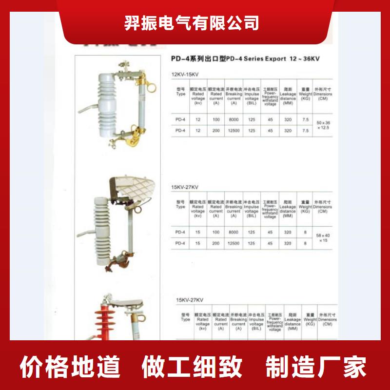 高压熔断器/RW4-1212KV