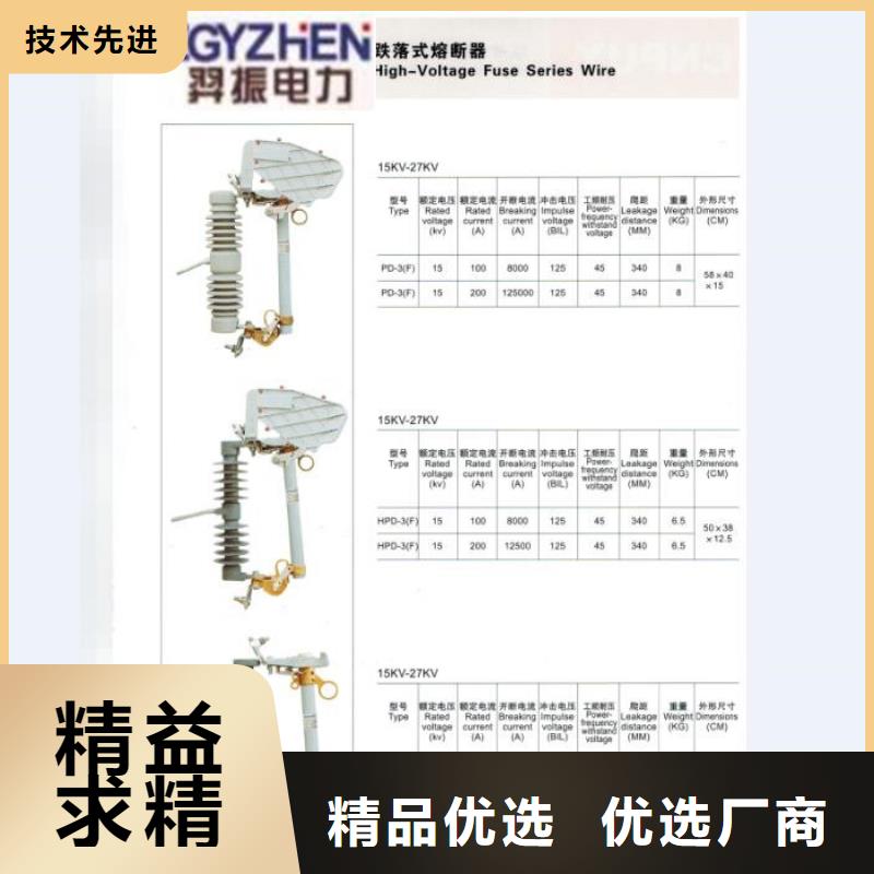 熔断器高压真空断路器厂家直销大量现货