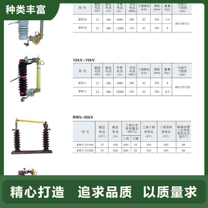 熔断器 绝缘子N年生产经验