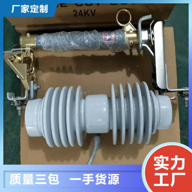 高压熔断器/HRW11-12KV/100A