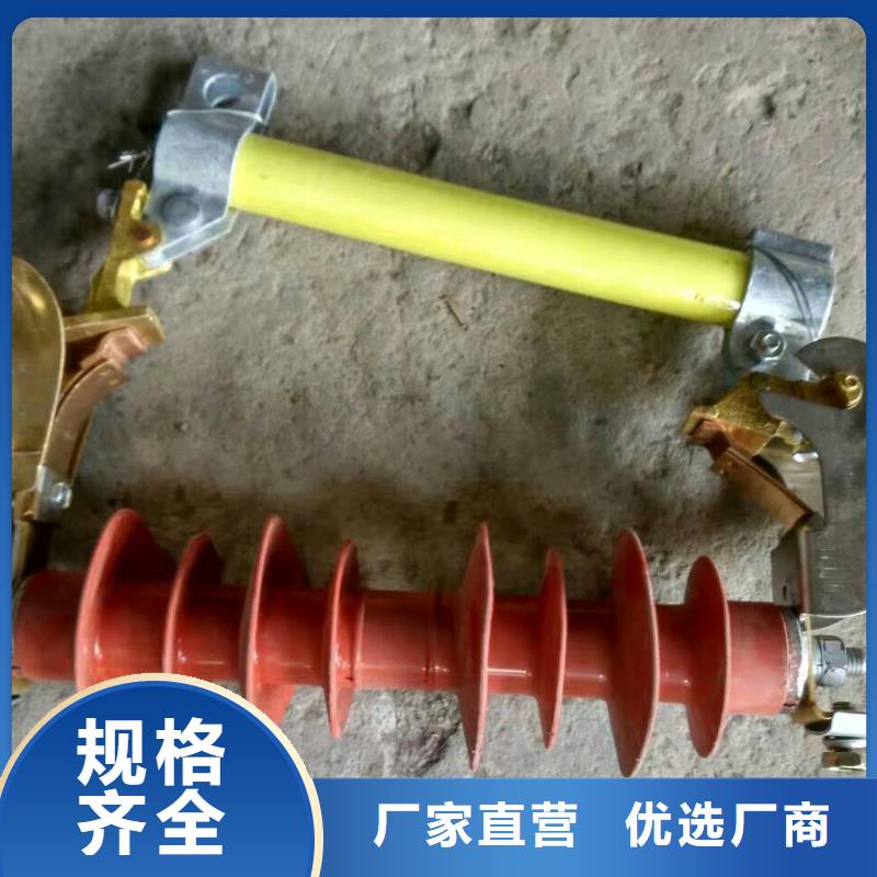 熔断器 绝缘子N年生产经验