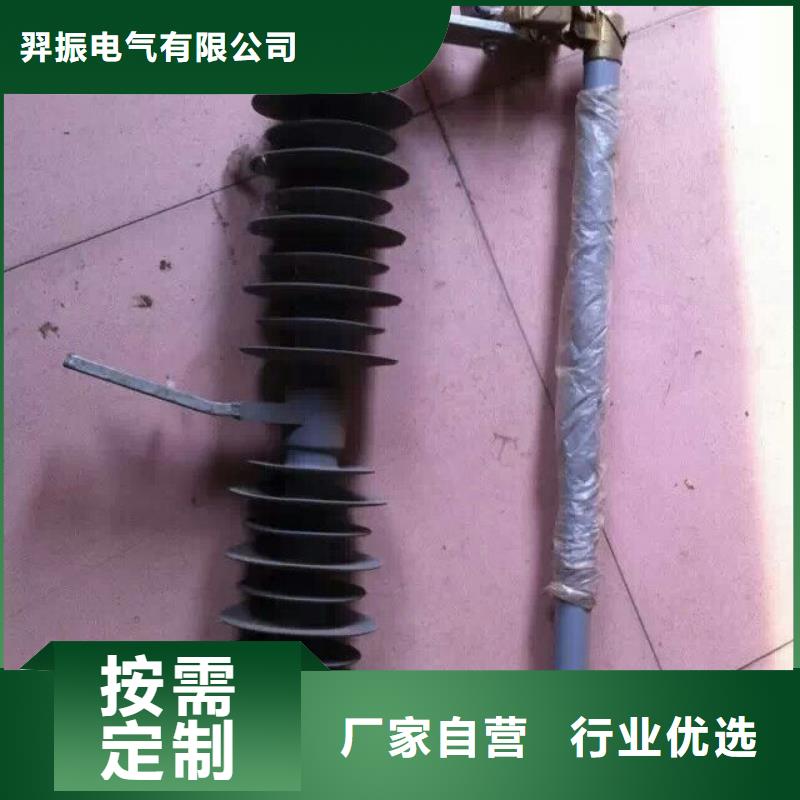 高压熔断器/HRW11-12KV/100A