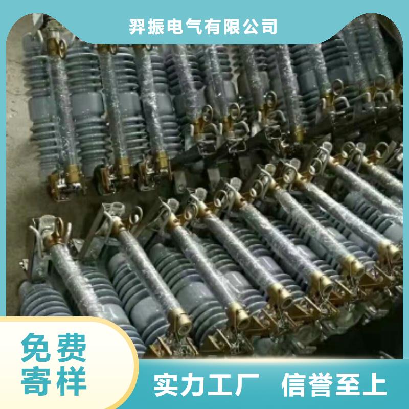 【跌落式熔断器】RW12-15/100A浙江羿振电气有限公司