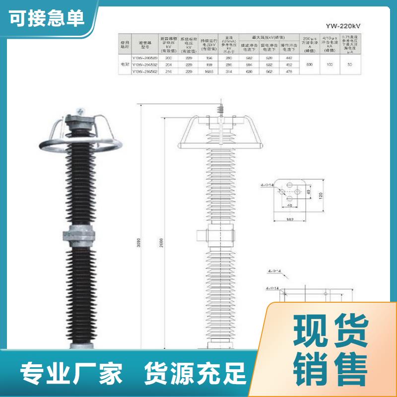 避雷器Y10W-108/281