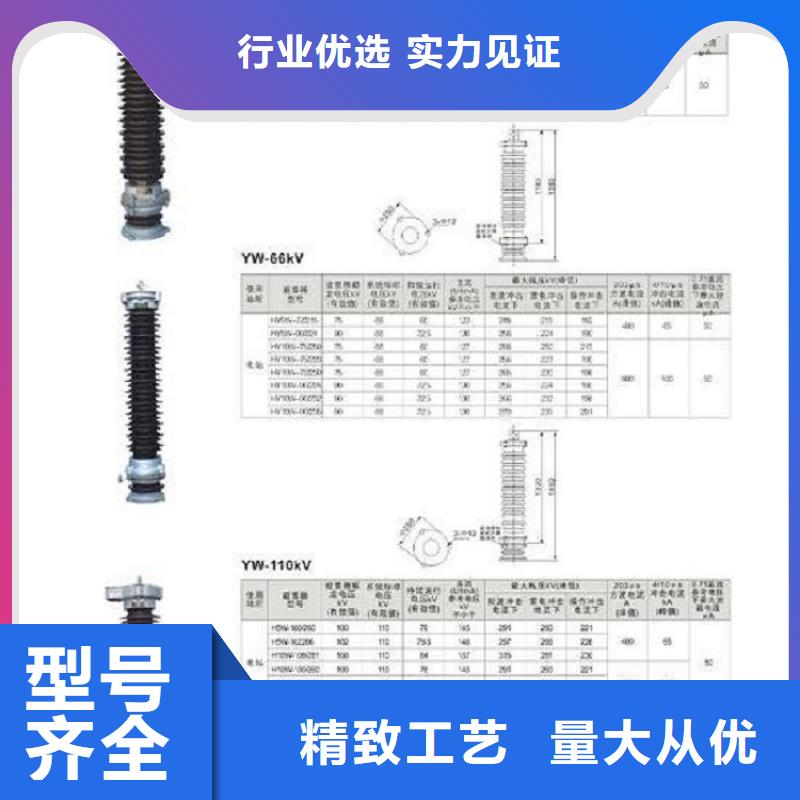 避雷器Y10W-204/532浙江羿振电气有限公司