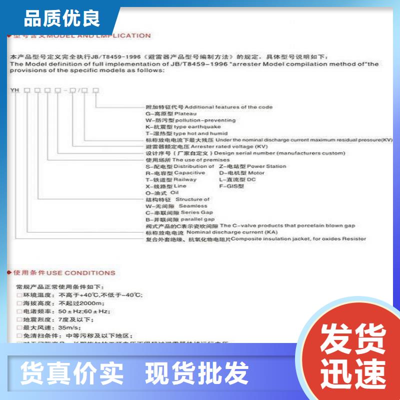 避雷器YH10W1-96/250W【羿振电力】