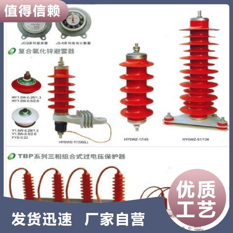 氧化锌避雷器YH10WZ-51/134【羿振电力】