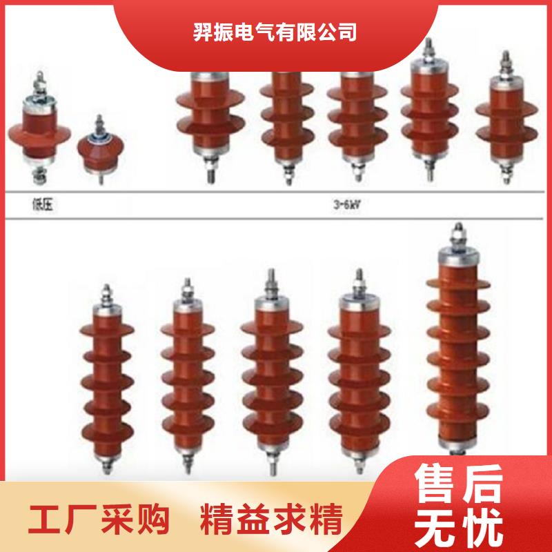 【避雷器】Y10W5-96/250GY