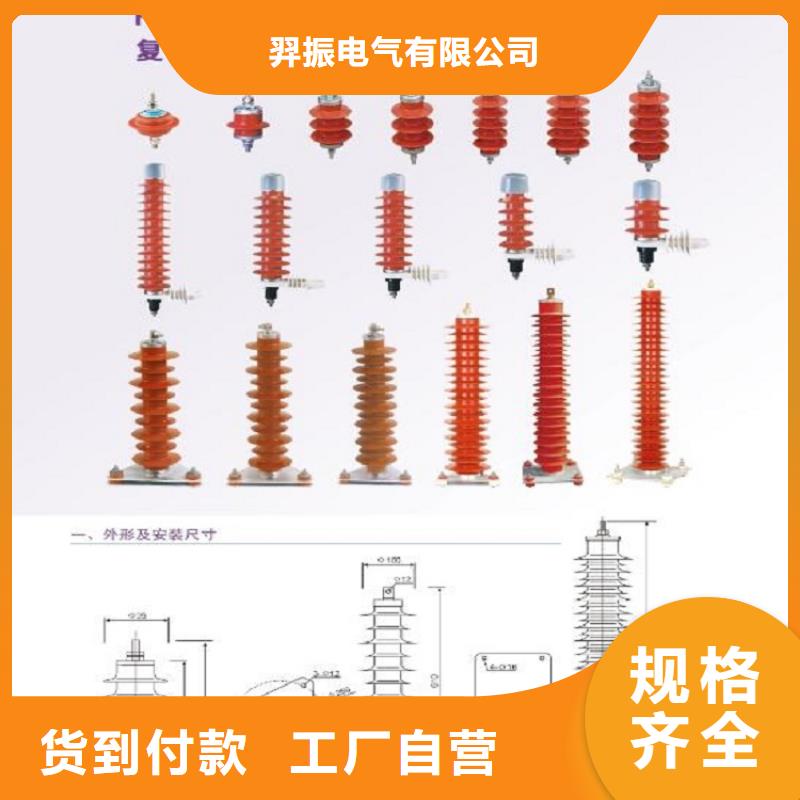 避雷器Y10W1-75/230W【羿振电气】