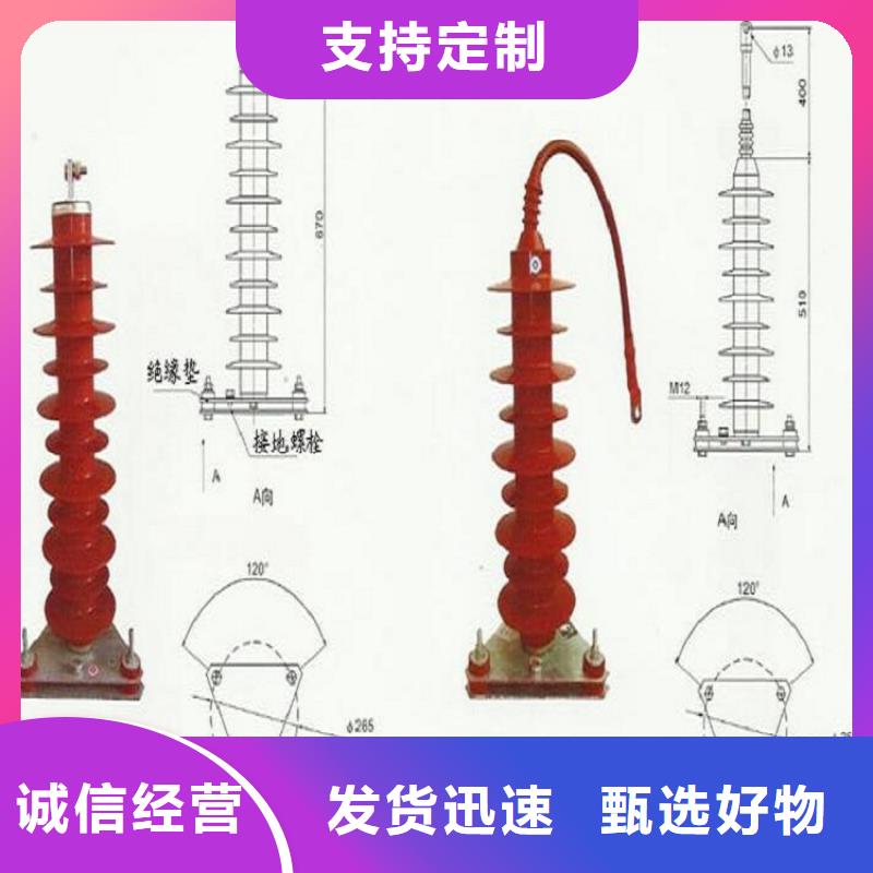 避雷器YH2.5WD-0.9/2.4KV【羿振电力】