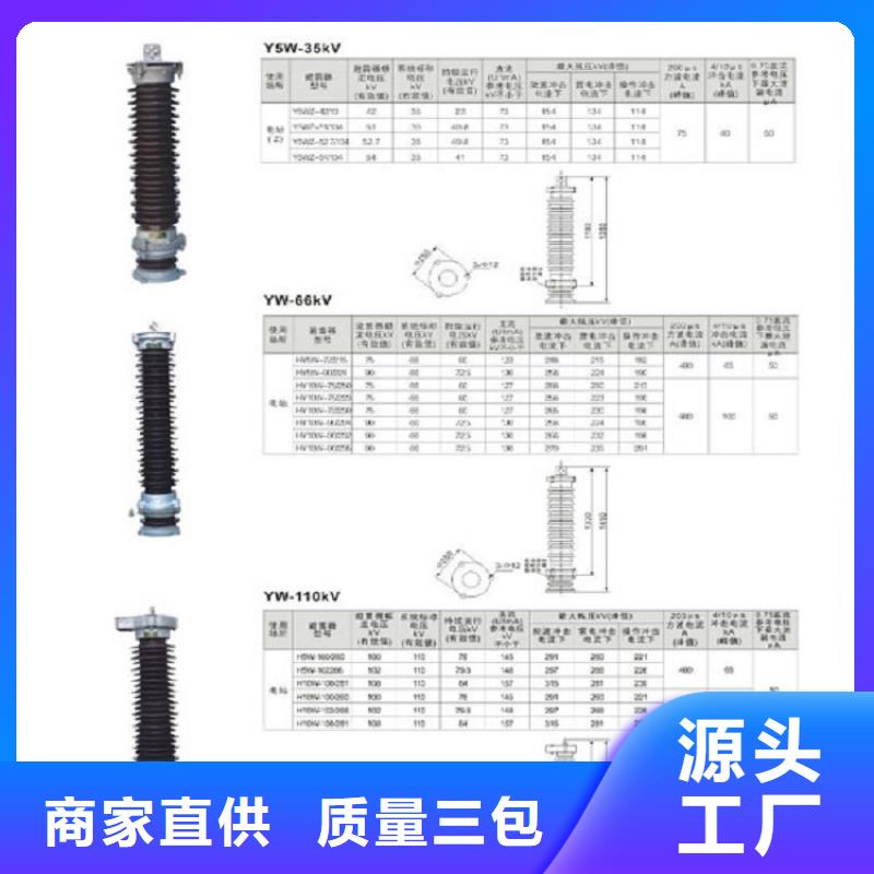 避雷器Y10W5-198/565【羿振电气】