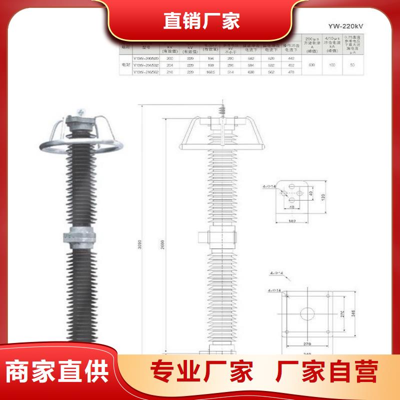 避雷器YH10W5-108/281GY【羿振电气】