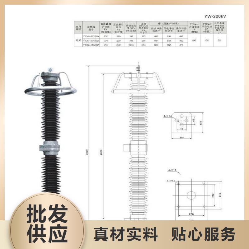 避雷器Y10W5-51/134【浙江羿振电气有限公司】