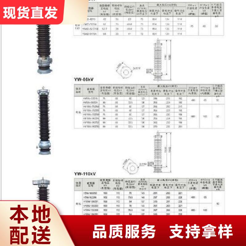 避雷器Y10W-96/250生产厂家