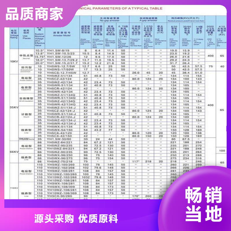 瓷外套金属氧化物避雷器Y10W-108/281