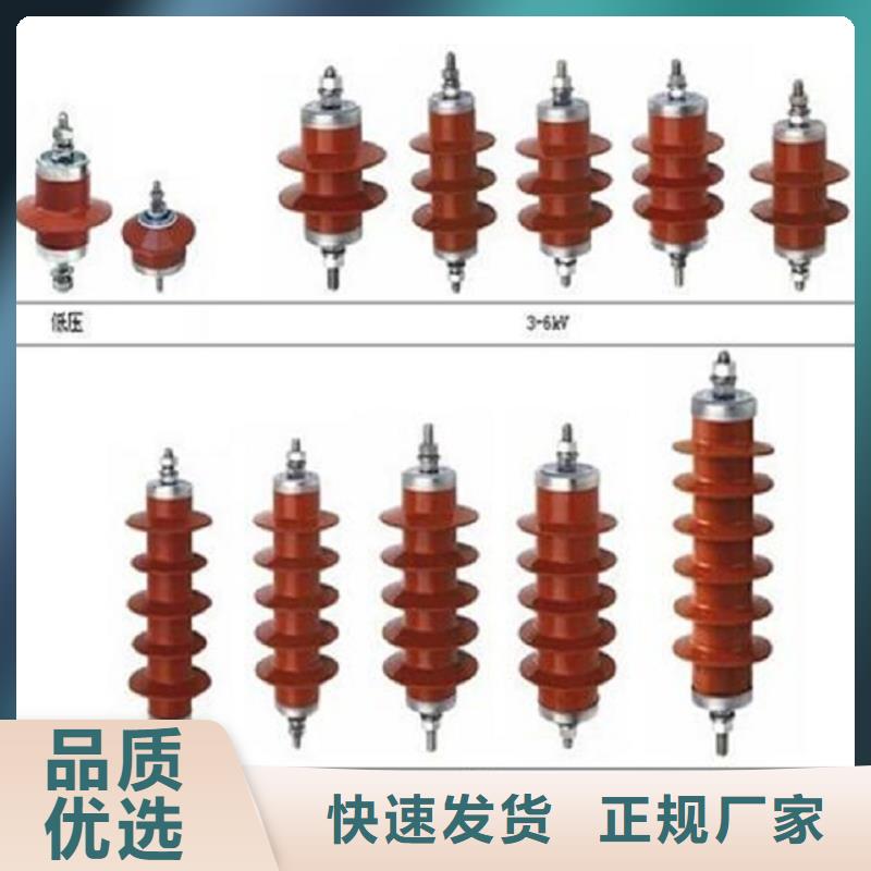 避雷器Y5WR-12.5/45【羿振电气】