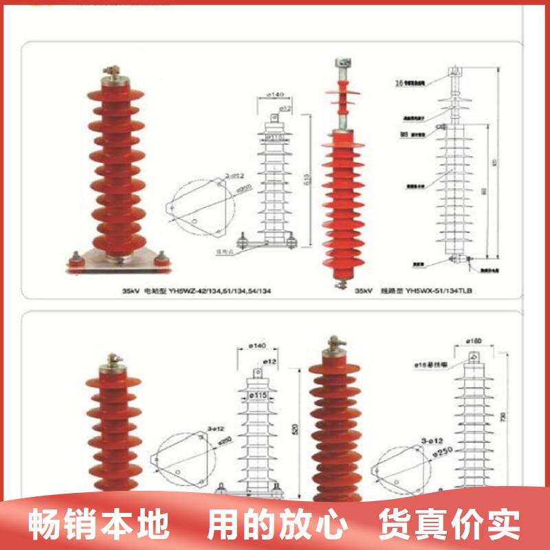 【羿振电气】避雷器YH5CX-90/260