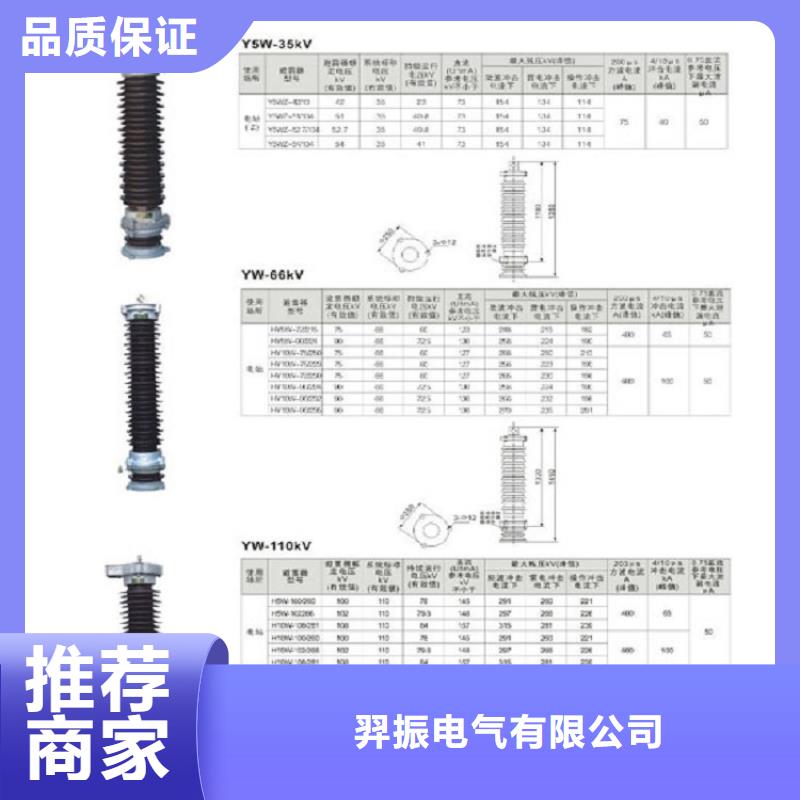 避雷器YH10W1-96/250W【羿振电力】