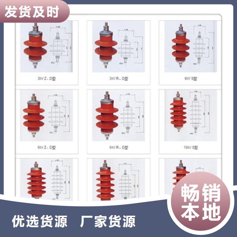 避雷器Y10W1-96/250上海羿振电力设备有限公司