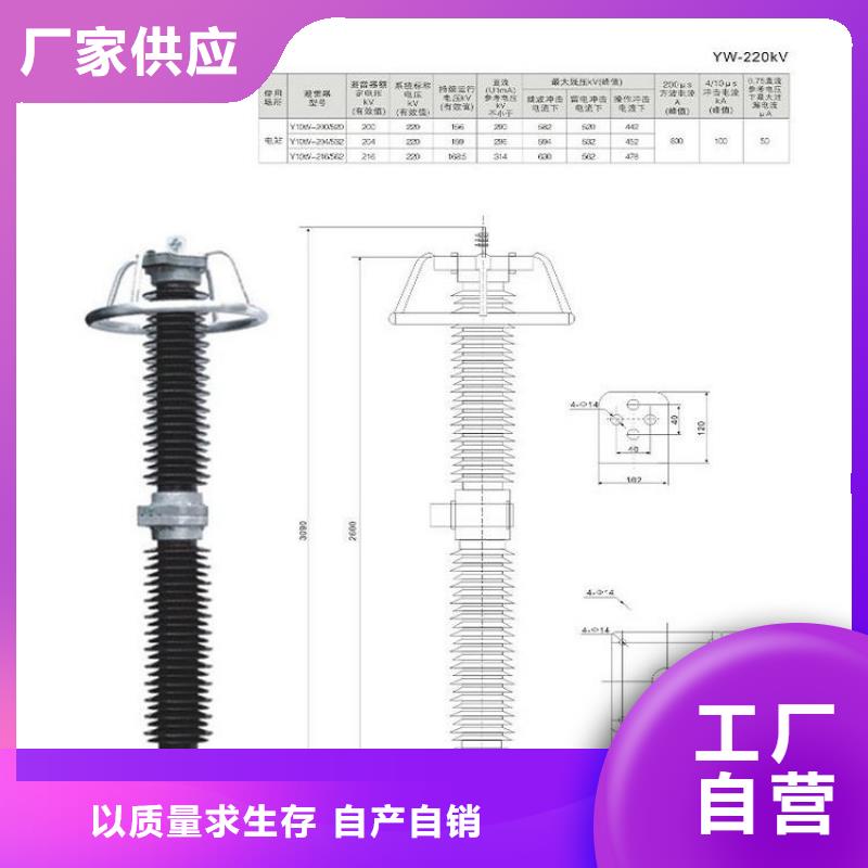 【避雷器】Y10W5-96/250GY