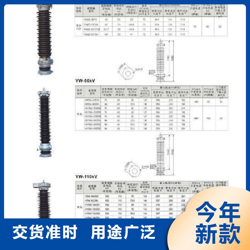 避雷器YH5WZ2-96/250