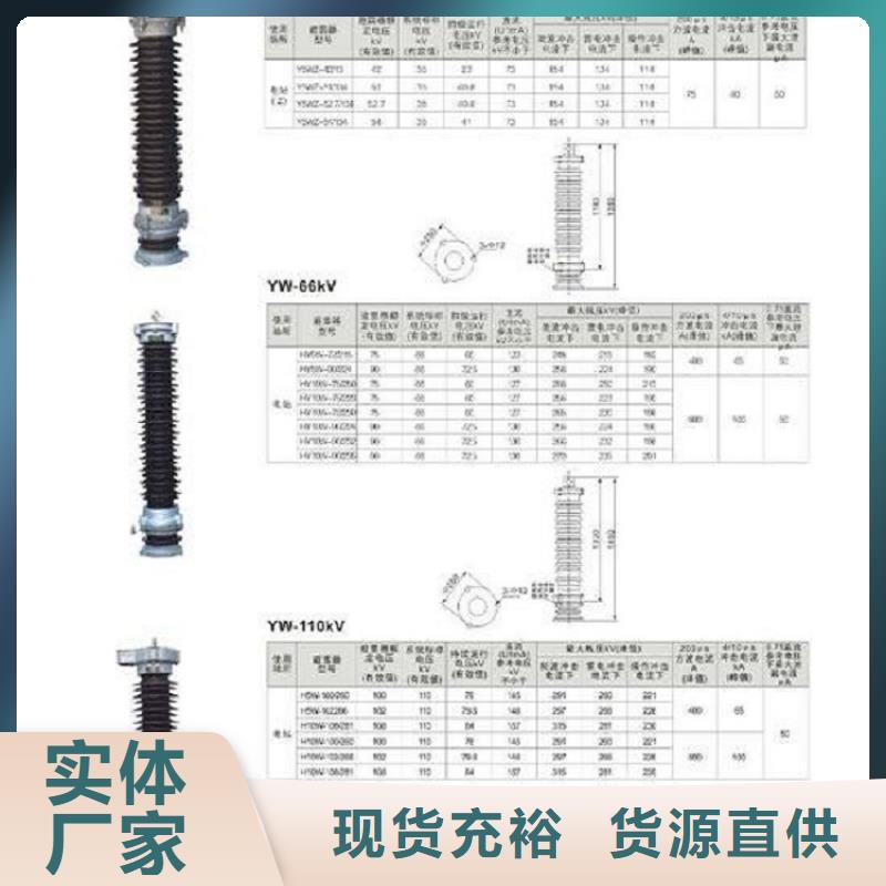 避雷器Y10W1-96/232【浙江羿振电气有限公司】