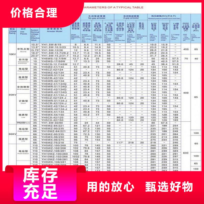 避雷器Y10W1-75/230W【羿振电气】