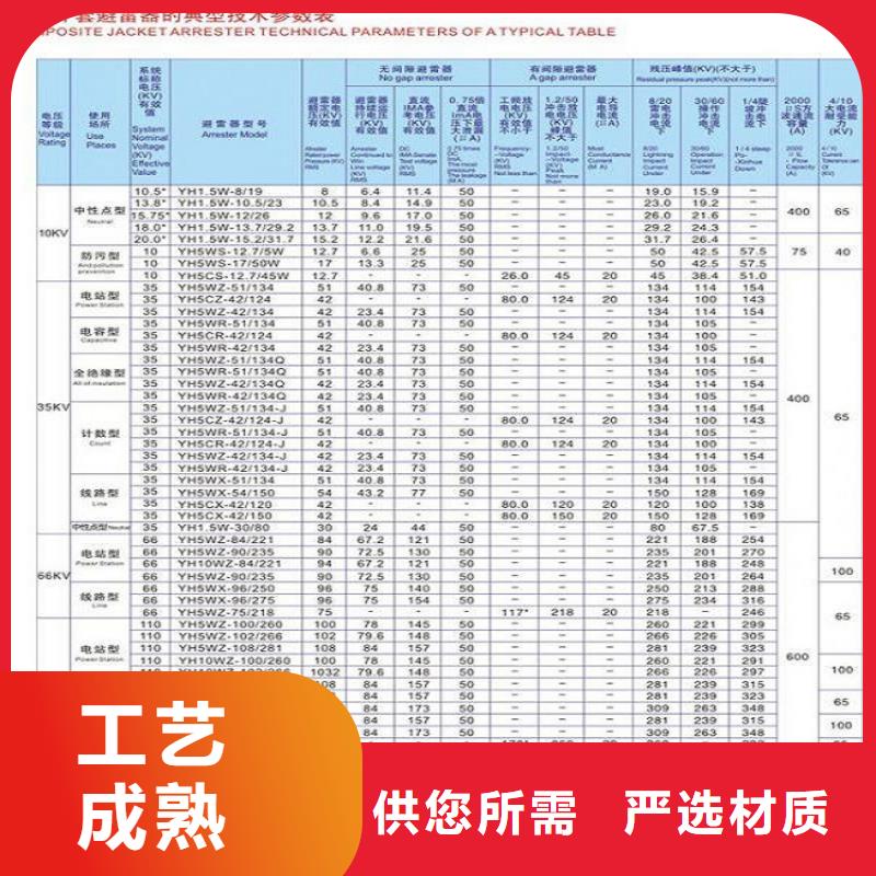 避雷器Y5W5-228/593