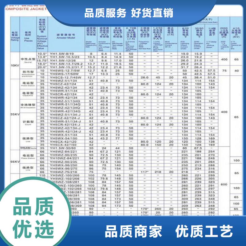 避雷器YH10CX-100/260E【浙江羿振电气有限公司】