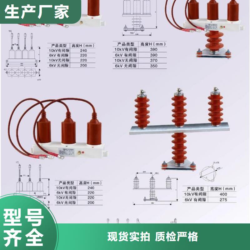 保护器(组合式避雷器)BSTG-A-17-J