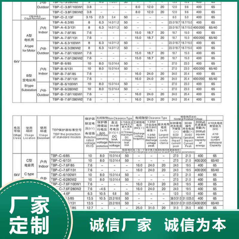 TBP-Y-C/6-T组合过电压保护器