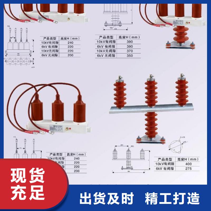 过电压保护器高压组合式避雷器BWKP-A-12.7/131