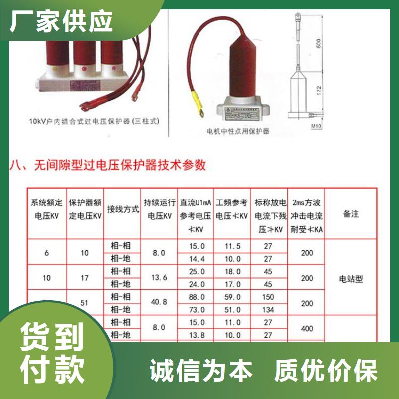 【过电压保护器】TBP-A-35/630W2